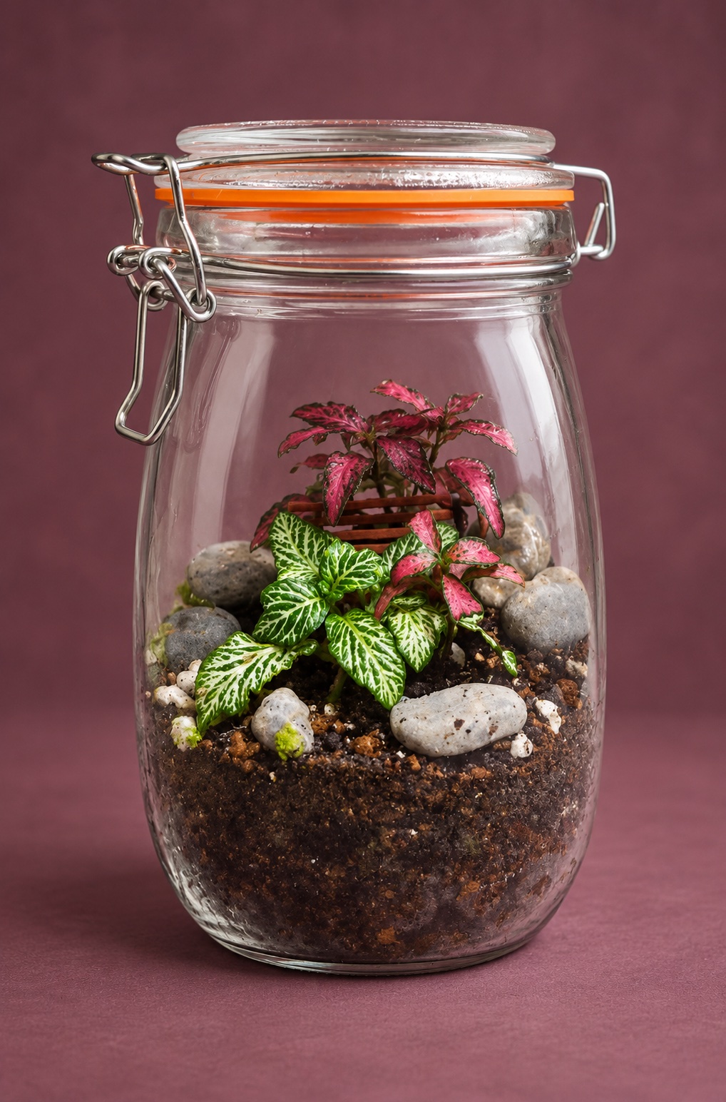 Glass jar terrarium with red and green foliage and smooth stones